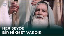 Hz. Yusuf'un Kardeşleri Mısır'a Doğru Yola Çıktı | Hz. Yusuf