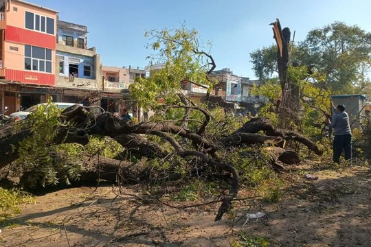 swm: विकास के नाम पर हरियाली का सफाया, स्वास्थ्य पर मंडराया खतरा