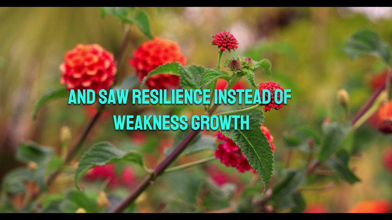 Love Yourself First — The Life Changing Power of Self Worth Self Forgiveness and Inner Peace