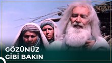 Bünyamin De Mısır'a Gidiyor | Hz. Yusuf