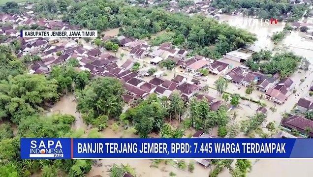 Pantauan Udara Banjir di Jember, 23 Desa Terendam dan 7.445 Warga Terdampak
