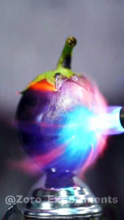 Powerful Lighter DESTROYS Egg Plant? #viralshorts  #experiment  #satisfying