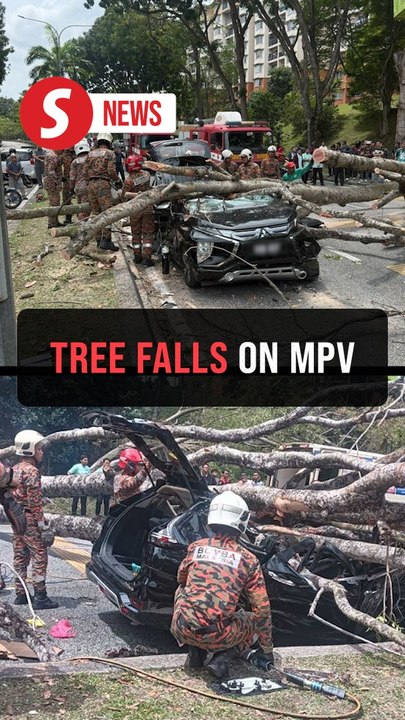 Two hurt as falling tree crushes MPV in Shah Alam