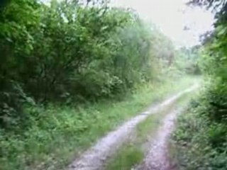 Balade avec ma nouille ( plus courte)