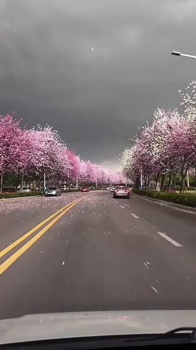 Beautiful Drive