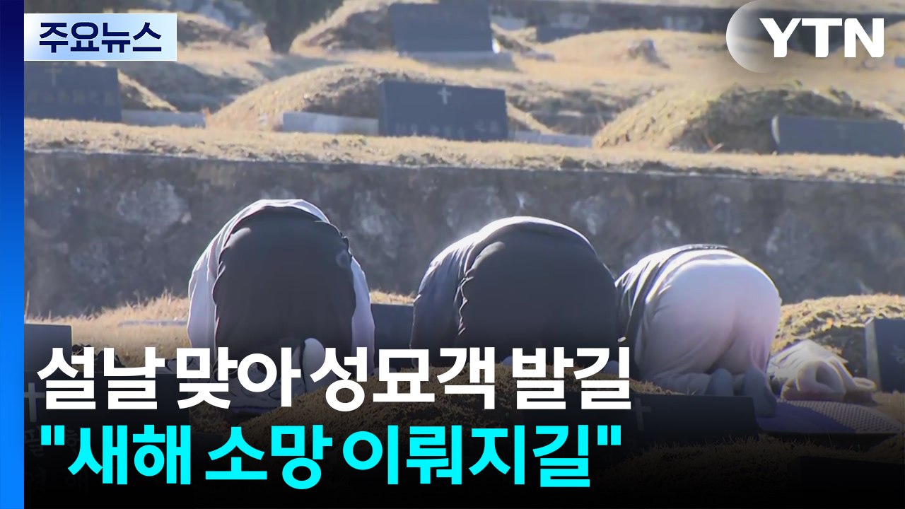 설날 맞아 성묘객 발길..."새해 소망 이뤄지길" / YTN