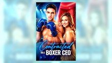 Contracted To A Boxer CEO full short