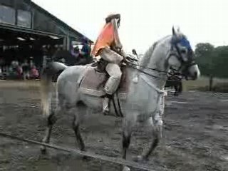 Spectacle de chevaux
