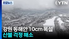 강원 동해안 10cm 폭설...산불 걱정 해소 / YTN