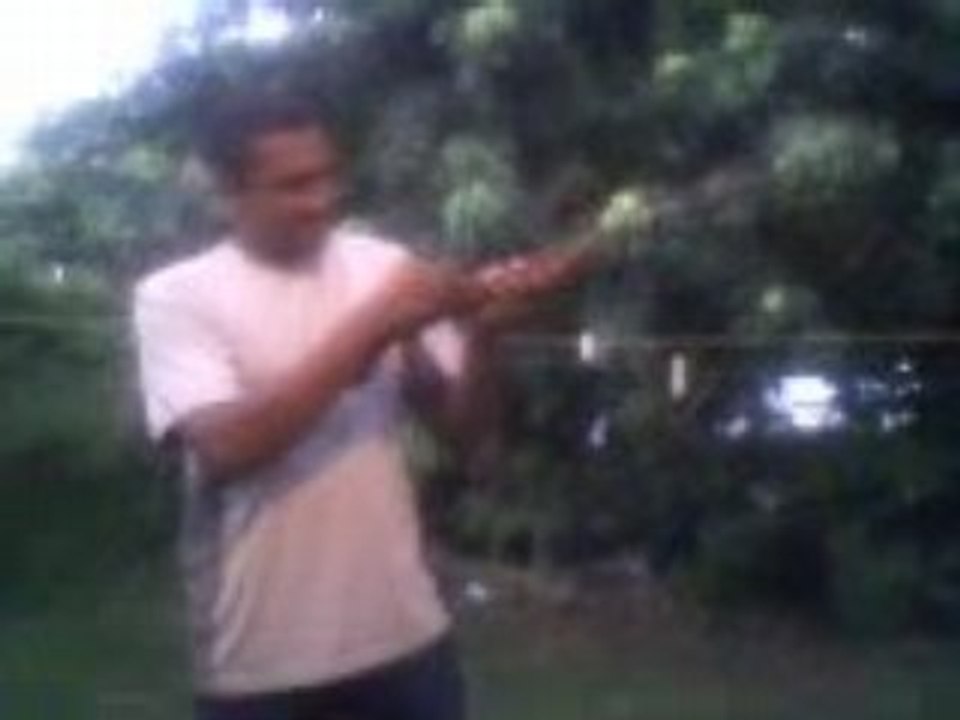 Fusil 974