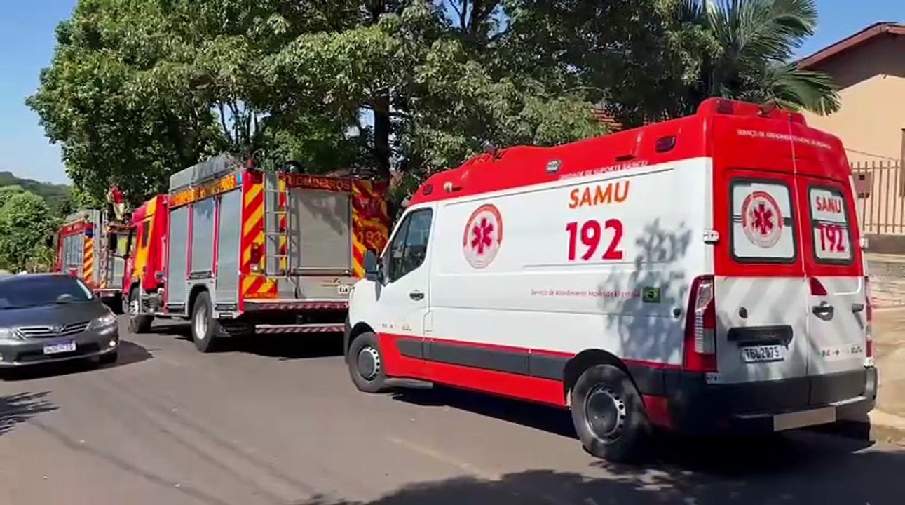 Poda de árvore termina em resgate após mal-estar de morador de Umuarama; vídeo