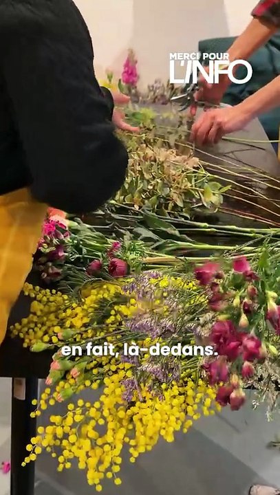 🌹PLUTÔT ROSE OU TULIPE ?