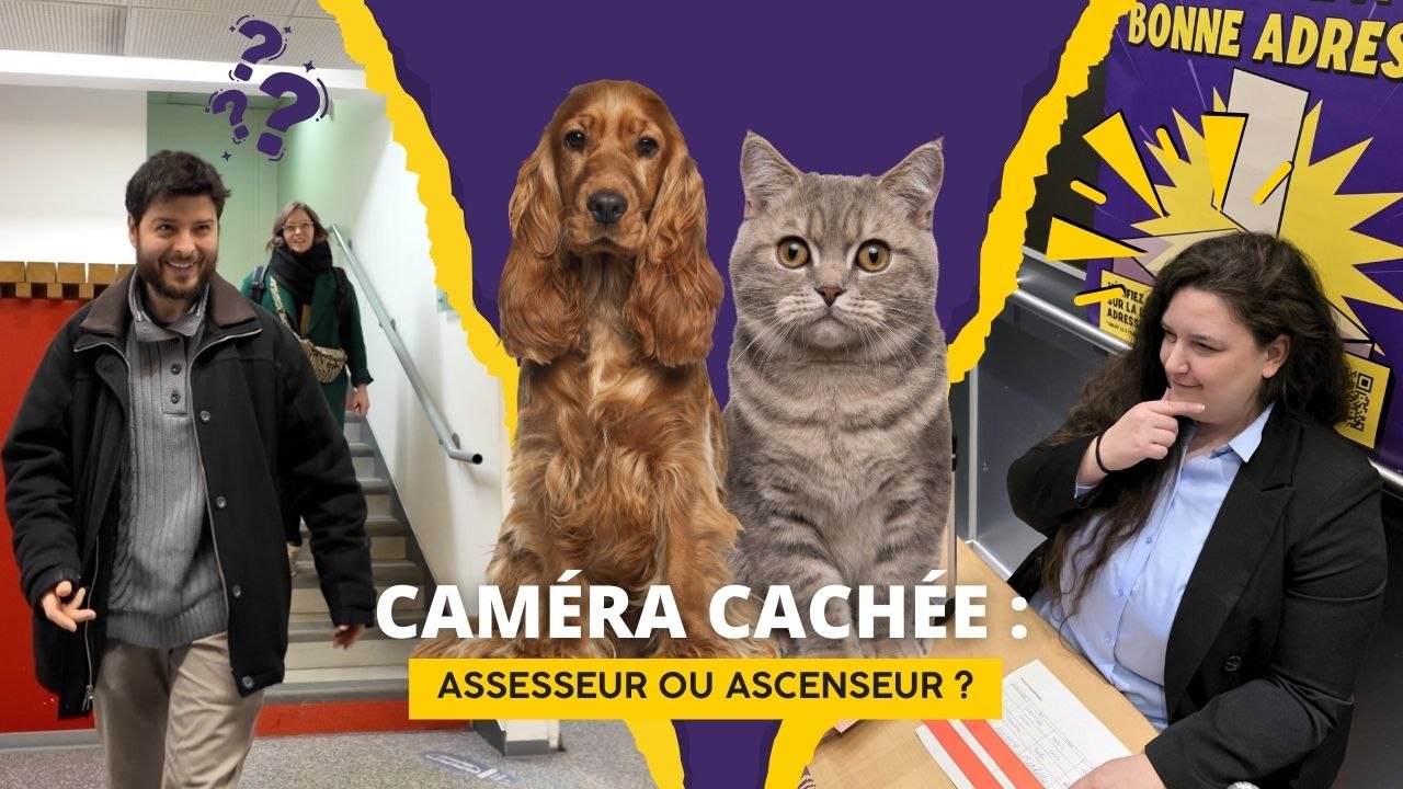 Caméra cachée : assesseur ou ascenseur ? - Vidéo Dailymotion