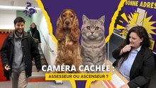 Caméra cachée : assesseur ou ascenseur ?