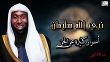 حين خضعت الجن لأمر نبي الله سليمان 🤍_ بدر المشاري