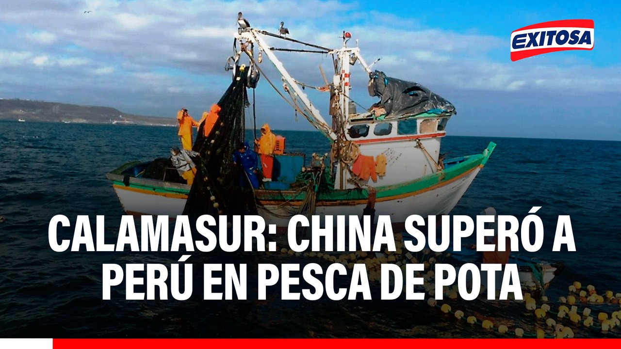 China ha superado las 500 mil toneladas de pesca de pota desplazando a Perú, señala CALAMASUR