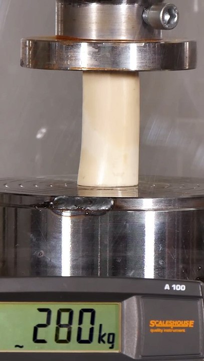 How Strong is Bone Hydraulic press test