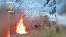 Detenido por provocar varios incendios forestales en el parque natural de s'Albufera