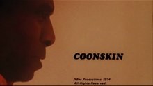 Coonskin Film deutsch