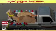 ഒമാനിൽ വധുവിന് വരൻ നൽകിയ വത്യസ്ത വിവാഹസമ്മാനം; വീഡിയോ വൈറൽ