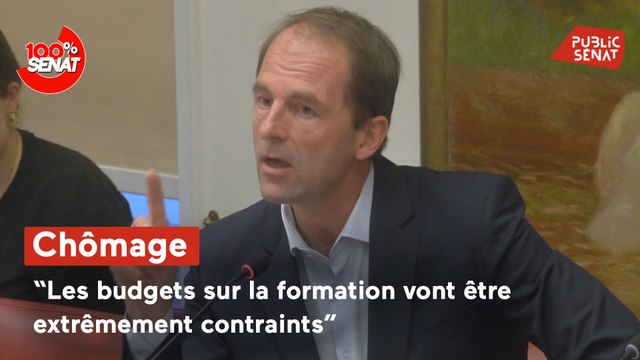 100% Sénat - Chiffres du chômage : audition du directeur général de France Travail