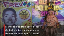 Mantendo as tradições, blocos do Índio e Zé Liança animam foliões no domingo Carnaval
