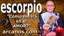 ESCORPIO - Video Horóscopo AMOR PAREJAS Y SOLTEROS - ARCANOS.COM - 15 al 21 de febrero de 2026 - Semana 08
