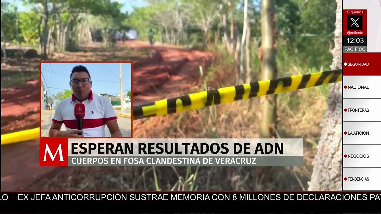 Fosa clandestina en Veracruz: la larga espera por las pruebas genéticas