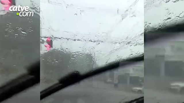 Chuva com rajadas de vento derruba galhos e árvores em Foz do Iguaçu