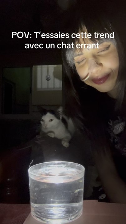 Essai de la trend curcuma avec un  chat au Maroc. Oui je sais je suis très en retard 🥲 (filmé en juin 2025)