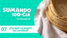 07 ¿Por qué se pegan las tortillas?