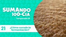 21 ¿Cómo sucede la fermentación?