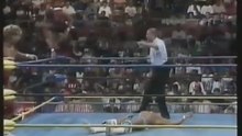 Pretty Wonderful (Paul Orndorff Paul Roma) vs. Brian Pillman Johnny B. Badd - WCW - 1994