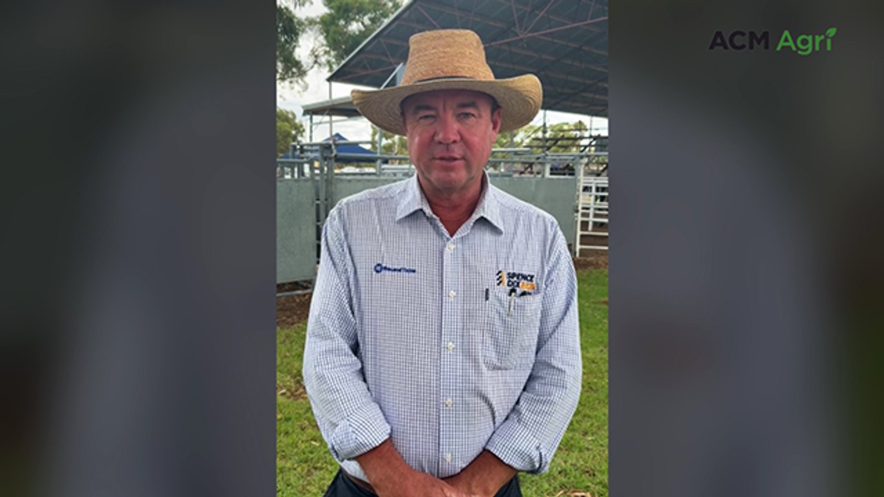 Stud record price set at Bull Oak Well Angus sale