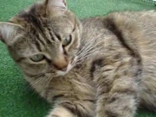 Praline toujours aussi belle