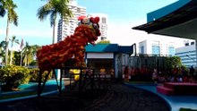 Fantastic Lion Dance. Chinese New Year Celebrations