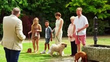 Dogs Behaving (Very) Badly Season 8 Episode 1