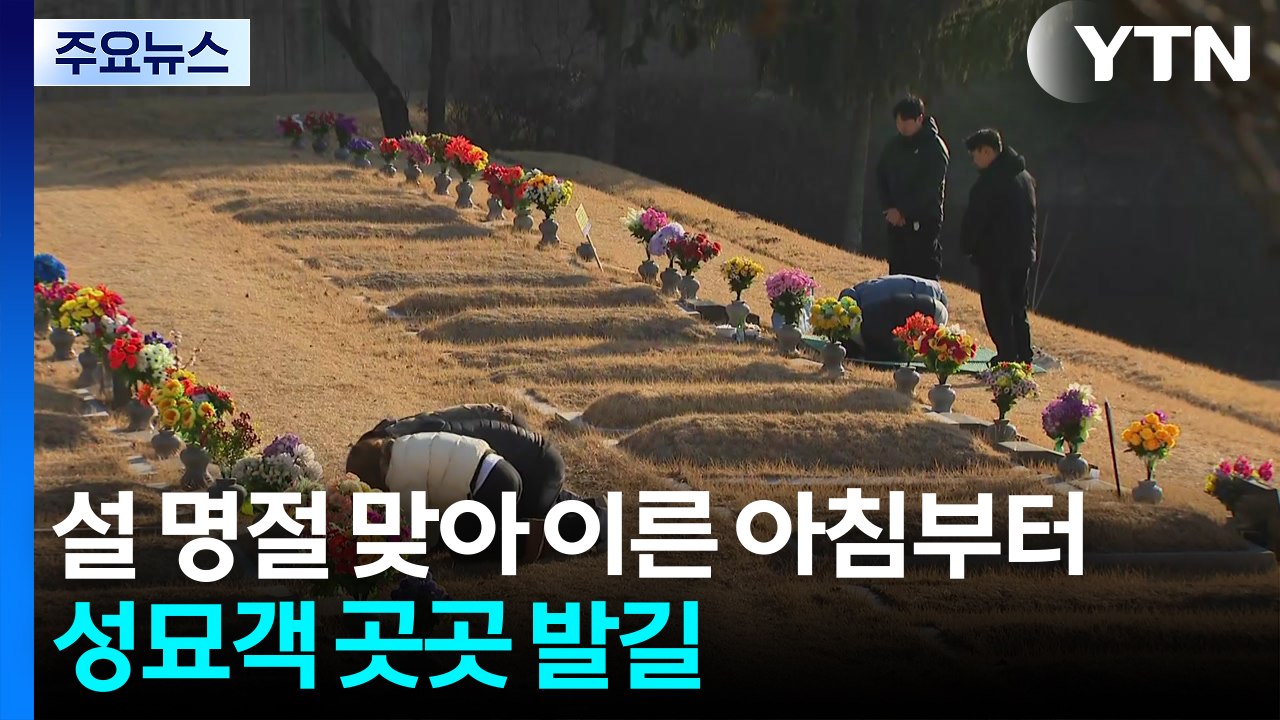 설 명절 맞아 이른 아침부터 성묘객 곳곳 발길 / YTN