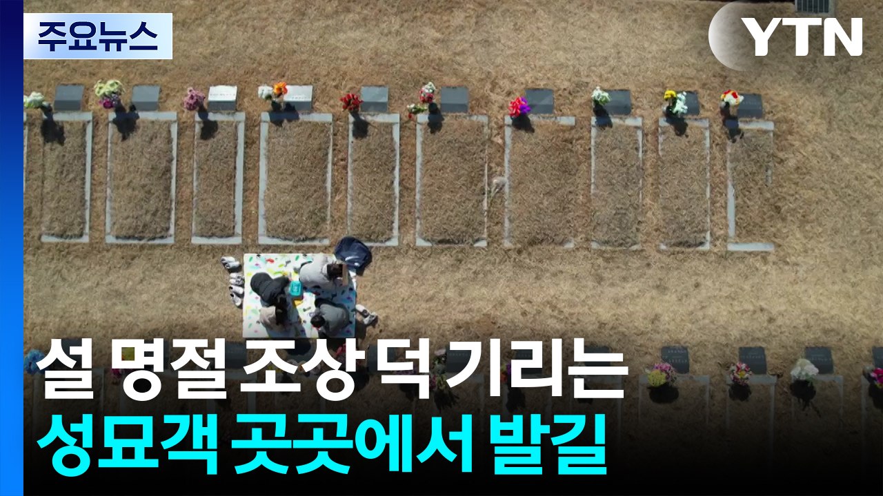 설 명절 조상 덕 기리는 성묘객 곳곳에서 발길 / YTN