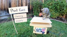Mark Rober's CrunchLabs - Season 2 Episode 2 - Backyard Squirrel Obstacle Course