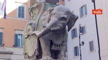 Vandali spezzano una zanna dell'elefante del Bernini a Piazza della Minerva, le immagini dei danni