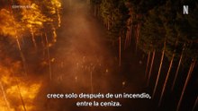 'Cortafuego', tráiler de la película de Netflix