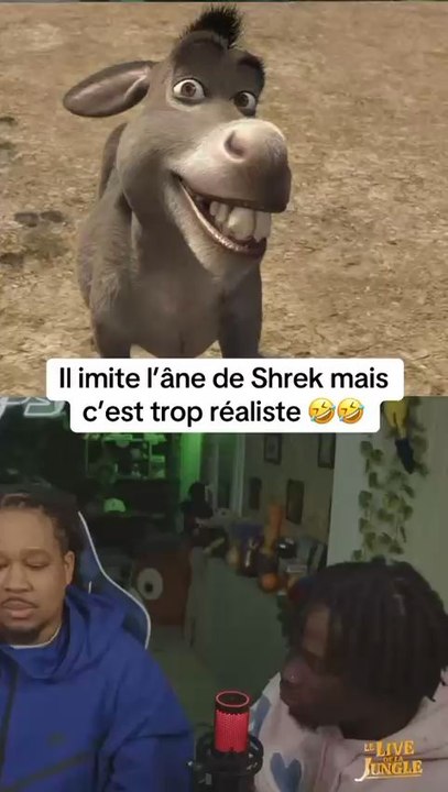 J’́imite l’ane de shrek mais j’ai craqué 😂