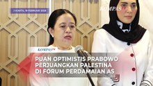 Puan MaharaniOptimis Presiden PrabowoPerjuangkan Palestina di Forum Perdamaian AS