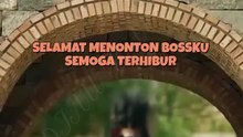 Gadis Terakhir Di Balik Kabut - Subtitle Indonesia