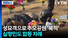 성묘객으로 추모공원 '북적'...실향민도 합동 차례 / YTN