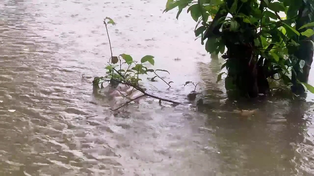Sound rain for sleep after sad work
