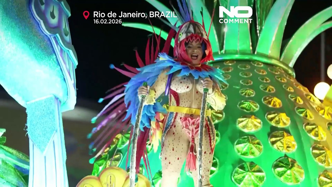 Rio-Karneval feiert Brasiliens Rock-Ikone Rita Lee