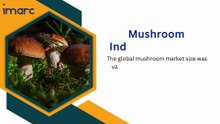 Mushroom Market 2026: Functional Foods & Plant-Based Revolution Explodes! 🍄🌱