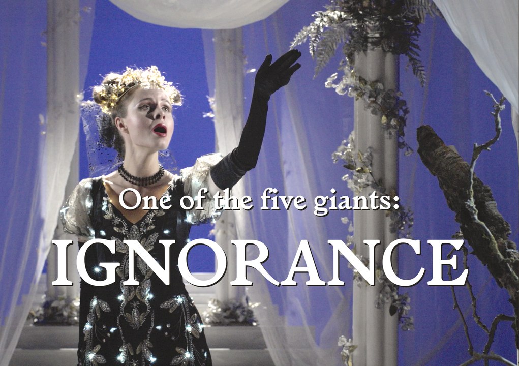 THE MAN WITH THE PLAN:  IGNORANCE